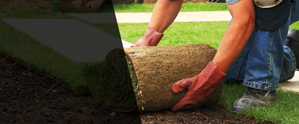 Ooltewah Landscapers